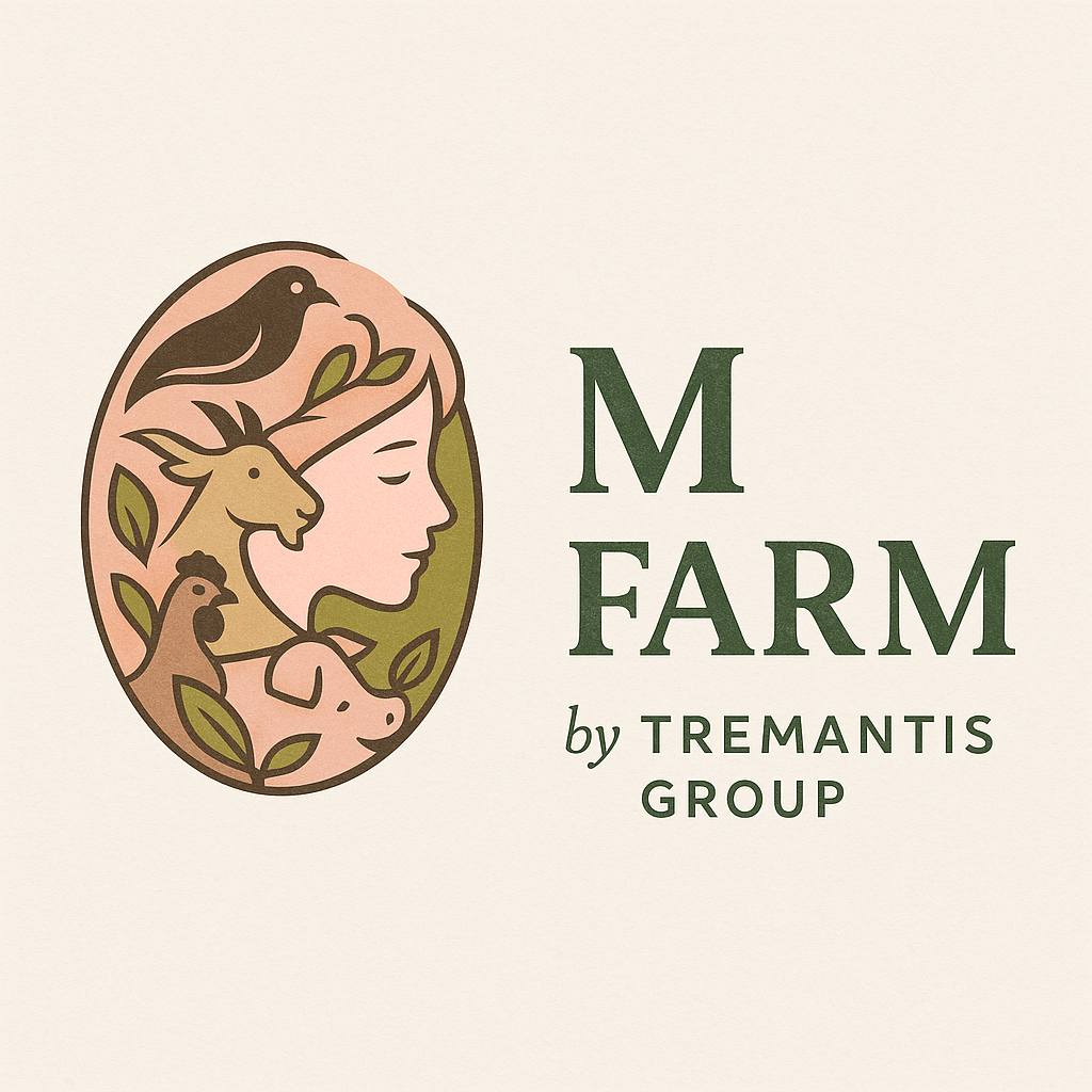 chatgpt image 9 jul 2025, 07 29 03 p.m. chatgpt image 9 jul 2025, 07 29 03 p.m.